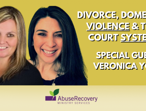 Veronica York: High Conflict Custody Cases & The Courts