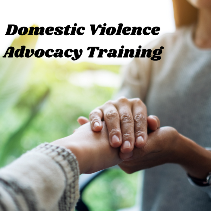 Domestic Violence Advocacy Training